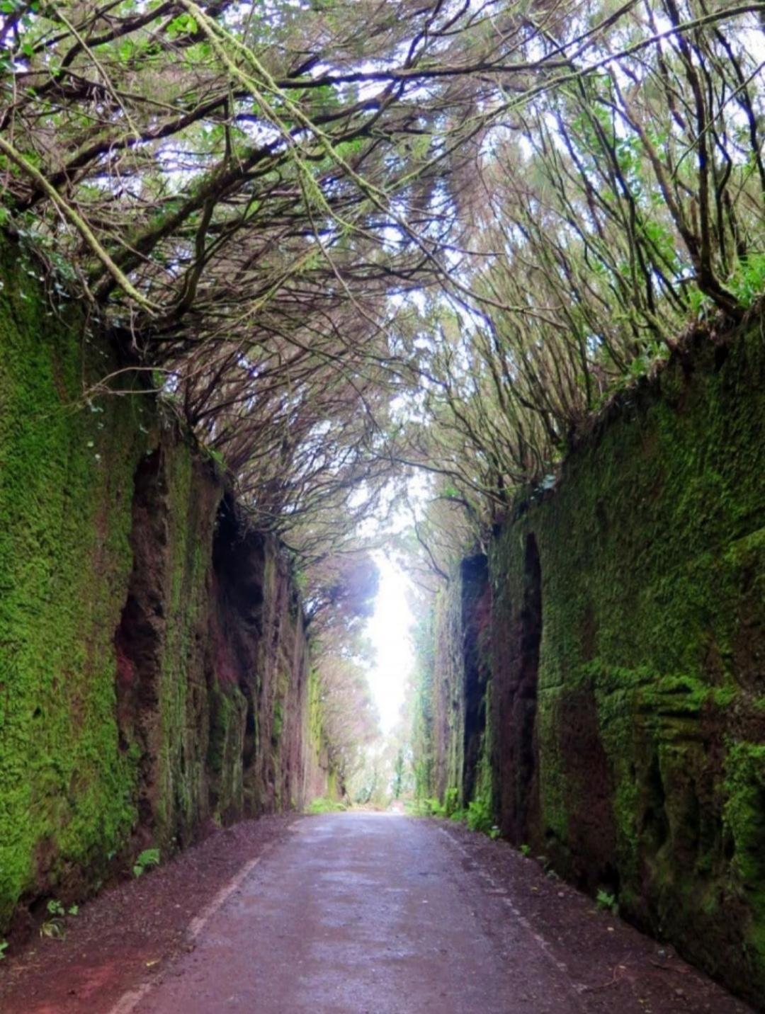 Armonia Park, Tenerife 巴哈马尔 外观 照片