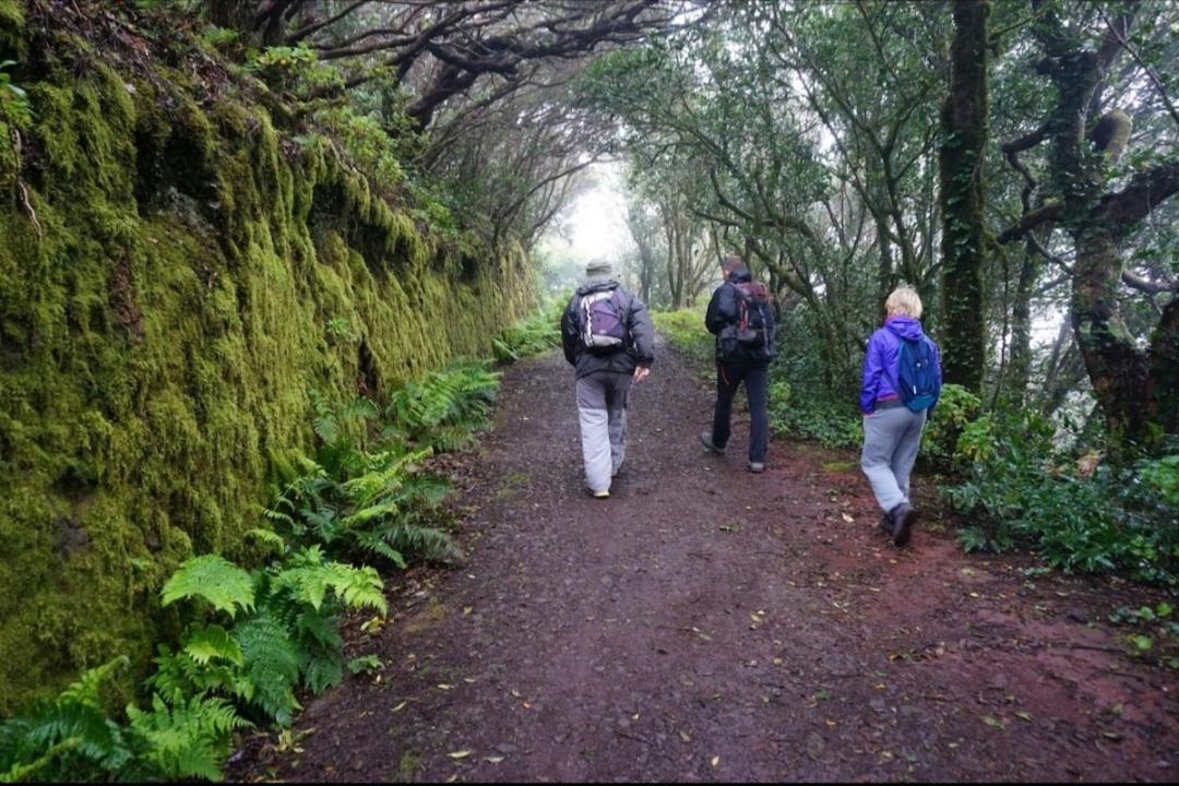 Armonia Park, Tenerife 巴哈马尔 外观 照片